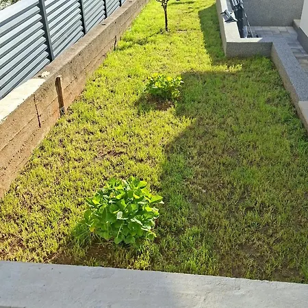 Luma Diklo Matea * Zadar